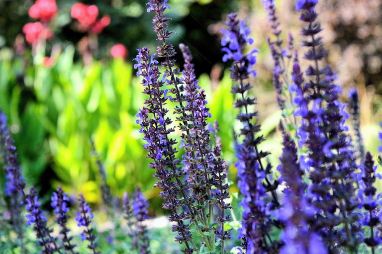 The Green Revolution: Transform Your Space with a Herb Garden Installation