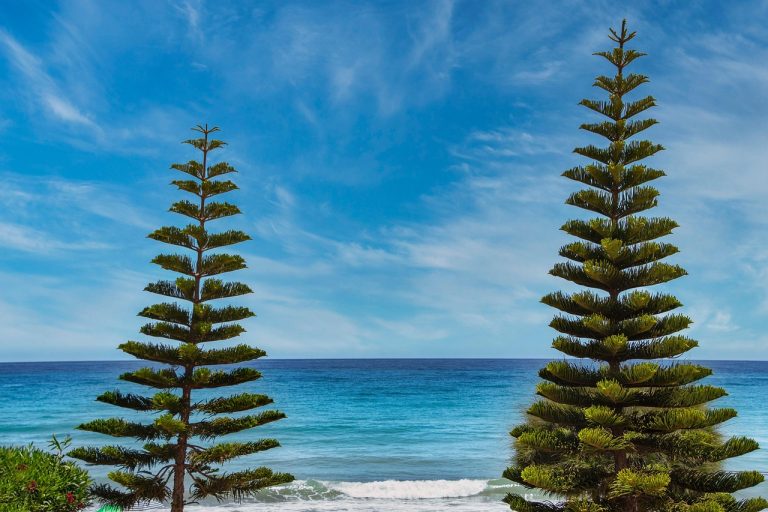 The Power of Planting Trees: A Story of Hope and Renewal